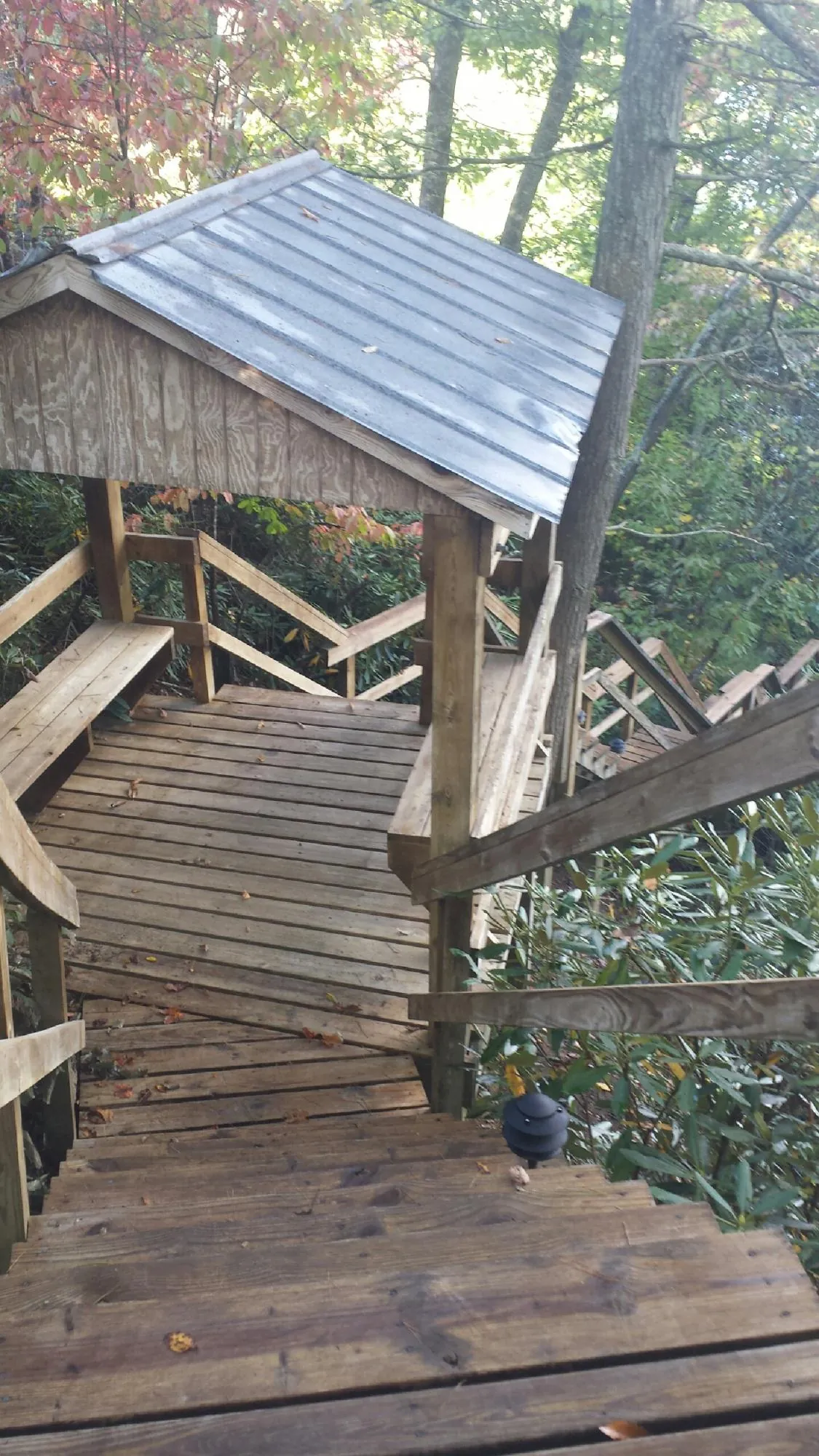 Metal roofed shelter over wooden steps on a wooded walkway — Skylight Repair & Installation work by our crew in Hayward