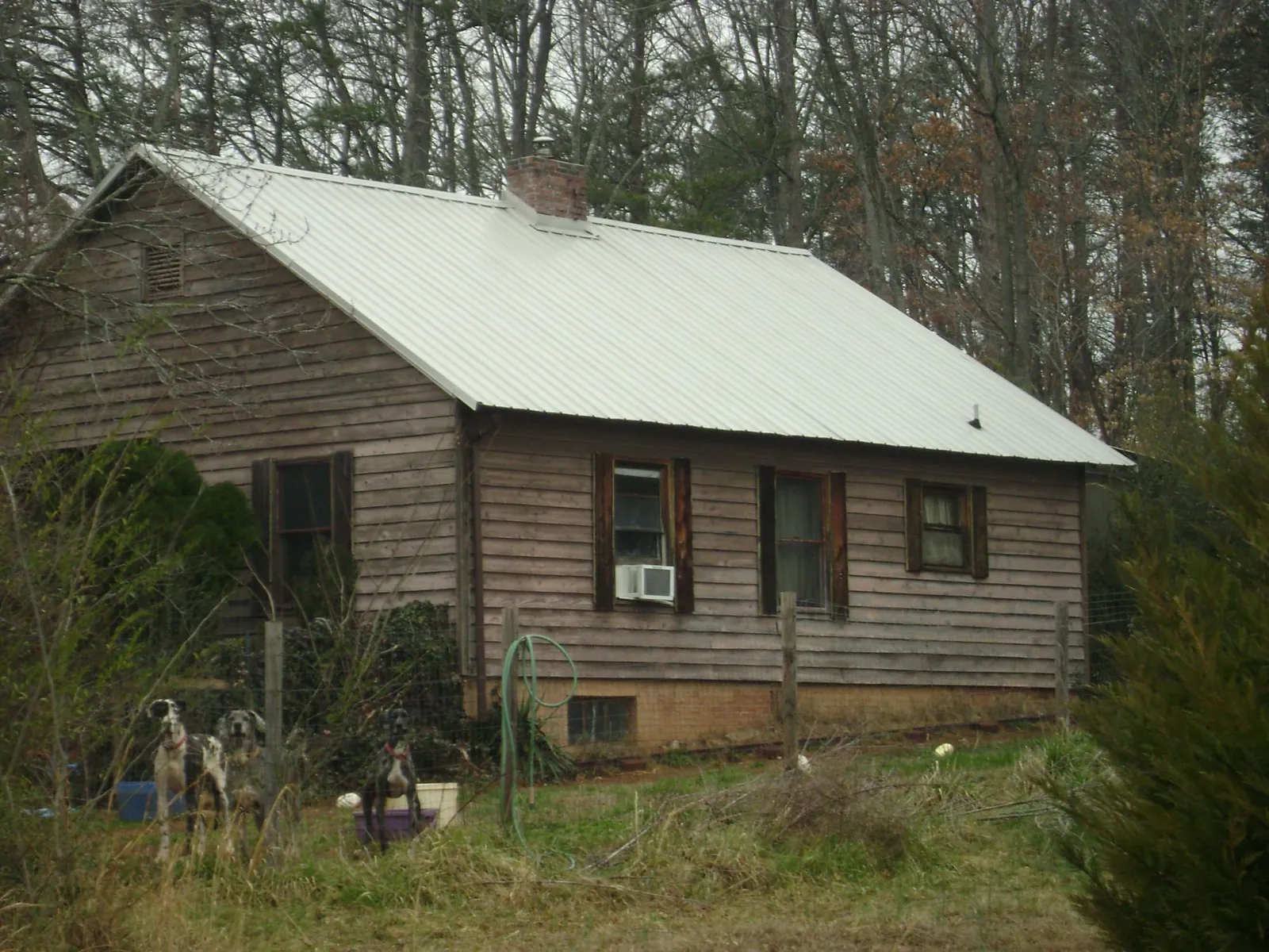 White metal roof on an old wood sided farmhouse, from a Asphalt Shingle Roof Repair job in Hayward